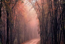 乐动体育：如何解读？佩德里：续约让我重新思考，不排除重返市场可能性.