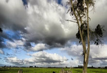 乐动体育:篮球——CBA常规赛:北京控股胜山西汾酒.