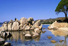 [CBA]回到主场 新疆伊力特力争取.